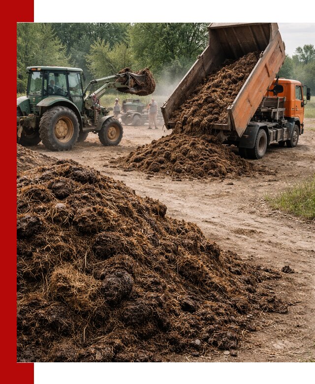 Доставка навоза самосвалами в Соли-Илецке для сельхозпотребностей