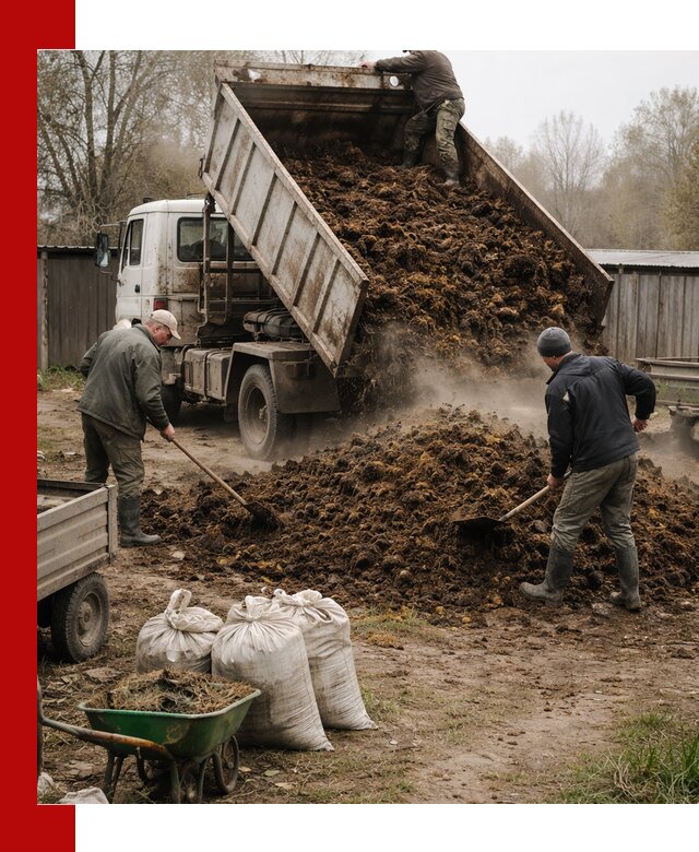 Доставка коровьего навоза самосвалом в Соли-Илецке